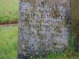 image number DSC_1536